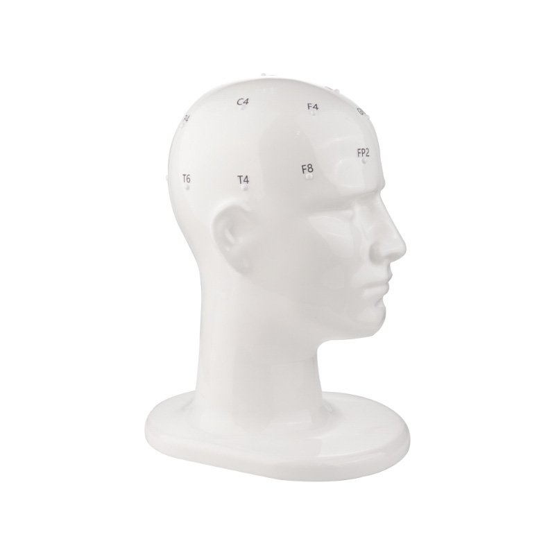 EEG Teaching Head Model